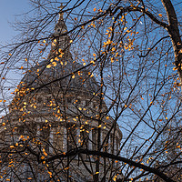 Buy canvas prints of Autumn leaves at St Paul's Cathedral London by Gary Eason