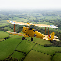 Buy canvas prints of Going solo: RAF Tiger Moth by Gary Eason