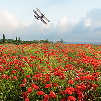 Buy canvas prints of Gladiator over poppy field by Gary Eason