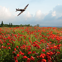Buy canvas prints of Poppies and Polish Spitfire Vb by Gary Eason