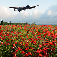 Buy canvas prints of Poppies and Avro Lancaster  by Gary Eason