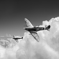 Buy canvas prints of 222 Squadron Spitfires above clouds, B&W version by Gary Eason