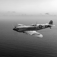 Buy canvas prints of Spitfire EN152 over Gulf of Tunis  by Gary Eason