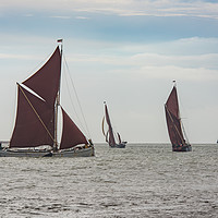 Buy canvas prints of Thames sailing barges tacking by Gary Eason