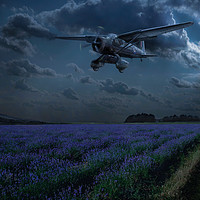 Buy canvas prints of RAF Lysander on secret operation by Gary Eason