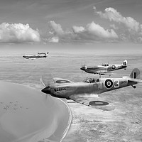 Buy canvas prints of Spitfires over Tunisia B&W version by Gary Eason