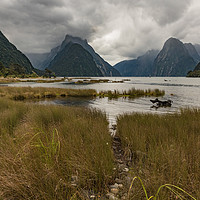 Buy canvas prints of Low cloud in Milford Sound by Gary Eason