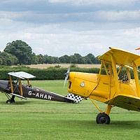 Buy canvas prints of De Havilland Tiger Moths taxiing by Gary Eason