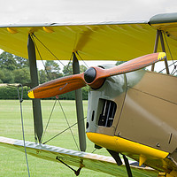 Buy canvas prints of De Havilland Tiger Moth propeller by Gary Eason