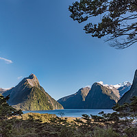 Buy canvas prints of Milford Sound overlook by Gary Eason