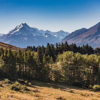 Buy canvas prints of Mount Cook Aoraki view with trees by Gary Eason