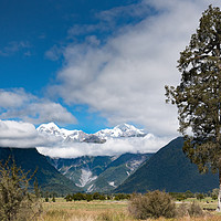 Buy canvas prints of Mountains and tree, Lake Matheson by Gary Eason