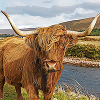 Buy canvas prints of Highland cow cartoon by Gary Eason