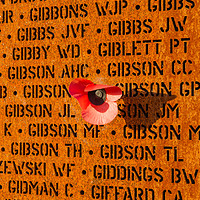 Buy canvas prints of IBCC wall of names and poppy by Gary Eason