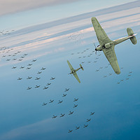 Buy canvas prints of The Few by Gary Eason