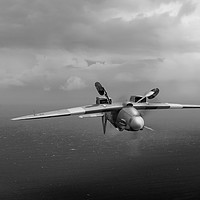 Buy canvas prints of Spitfire PR XIX PS915 inverted B&W version by Gary Eason