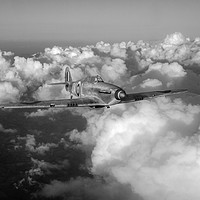 Buy canvas prints of RAF Hurricane JX-L in flight B&W version by Gary Eason