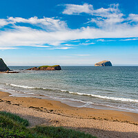 Buy canvas prints of Bass Rock from Seacliff Beach by Gary Eason