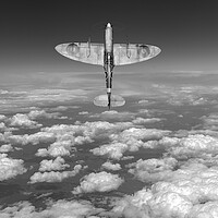 Buy canvas prints of A cut above, B&W version by Gary Eason