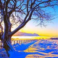 Buy canvas prints of Winter Dawn by Derek Whitton