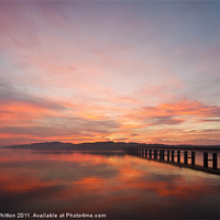 Buy canvas prints of River Tay Sunrise Dundee 2 by Derek Whitton
