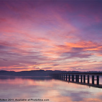 Buy canvas prints of River Tay Sunrise Dundee 3 by Derek Whitton