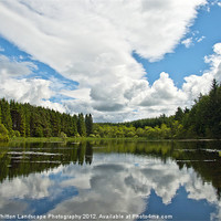Buy canvas prints of Woodland Loch Reflections by Derek Whitton