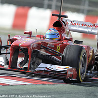 Buy canvas prints of Fernando Alonso - Ferrari - 2013 by SEAN RAMSELL