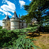 Buy canvas prints of Chateau de Chaumont  by SEAN RAMSELL