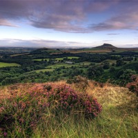 Buy canvas prints of Roseberry Topping from Gribdale by Neil Young