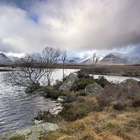 Buy canvas prints of Lochan n h-achlaise by Neil Young