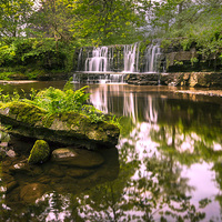 Buy canvas prints of Nidderdale Gem by Neil Young
