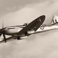 Buy canvas prints of GRIFFON SPITFIRE by Gabriele Rossetti