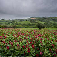 Buy canvas prints of Casoli Landscapes, The Abruzzo, Italy by Creative Photography Wales