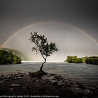 Buy canvas prints of The Lone Tree, Llyn Padarn by Creative Photography Wales