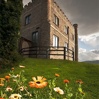 Buy canvas prints of Abergavenny Castle Museum by Creative Photography Wales