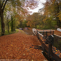 Buy canvas prints of Llangynidr Locks autumn scene by Creative Photography Wales