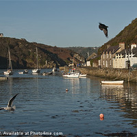 Buy canvas prints of Lower Fishguard Harbour by Creative Photography Wales