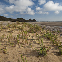 Buy canvas prints of Three Cliffs Sandscape by Creative Photography Wales