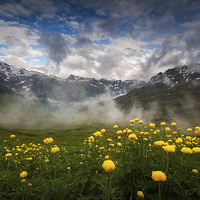Buy canvas prints of Alpine summer landscape by Creative Photography Wales