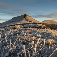 Buy canvas prints of Frosted Grass by Creative Photography Wales