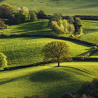 Buy canvas prints of Skirrid Fields by Creative Photography Wales