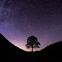 Buy canvas prints of Sycamore Gap Night Sky on Hadrians Wall by Creative Photography Wales