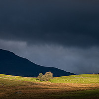 Buy canvas prints of Landscape at Cwmystradllyn, Snowdonia National Par by Creative Photography Wales