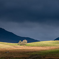 Buy canvas prints of Landscape at Cwmystradllyn, Snowdonia National Par by Creative Photography Wales
