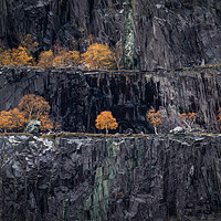 Buy canvas prints of Autumn Tree at Nant Peris Quarry Landscape view, S by Creative Photography Wales
