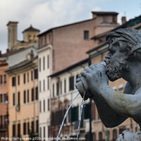 Buy canvas prints of Piazza Navaro, Rome, Italy by Creative Photography Wales