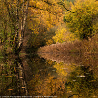 Buy canvas prints of Autumn Reflection in Brecon Canal, Brecon Beacons by Creative Photography Wales