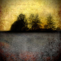 Buy canvas prints of Feeling the Landscape by Debra Kelday