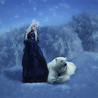 Buy canvas prints of  Winter Magic by Debra Kelday